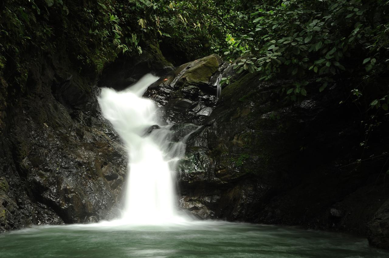 Santa Juana Lodge & Nature Reserve Quepos Exterior foto