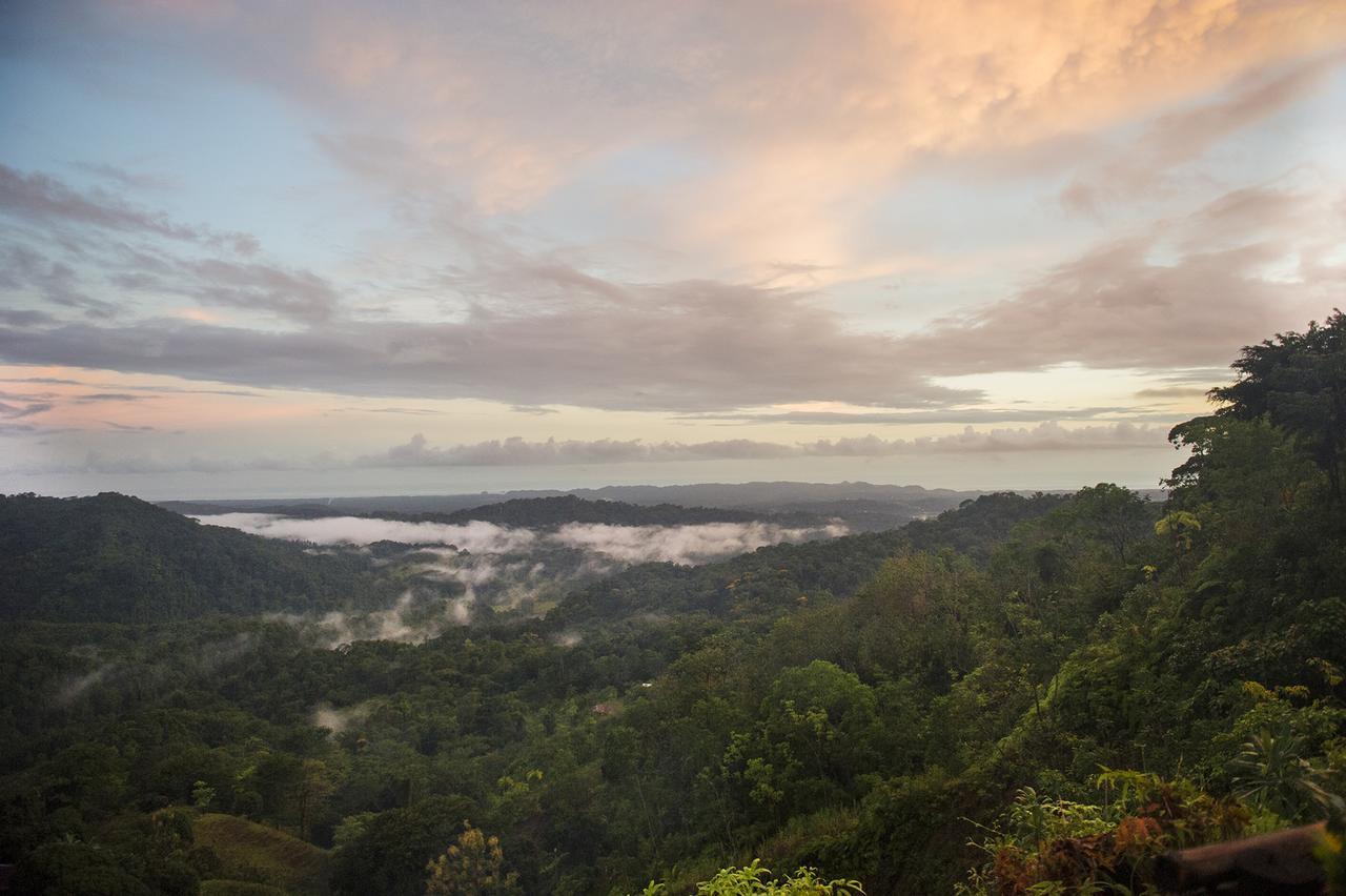 Santa Juana Lodge & Nature Reserve Quepos Exterior foto