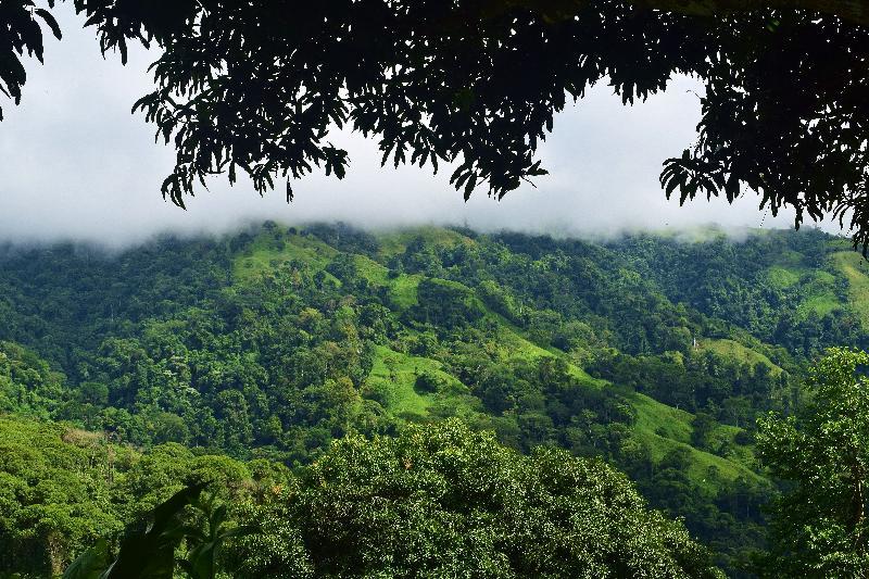 Santa Juana Lodge & Nature Reserve Quepos Exterior foto